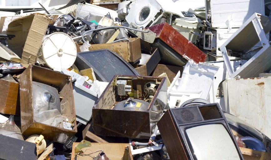 Samsal's Little Trash Co. 